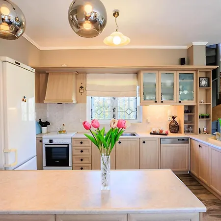 Holiday home Grandvillle Escape With Breathtaking Views Galatakion